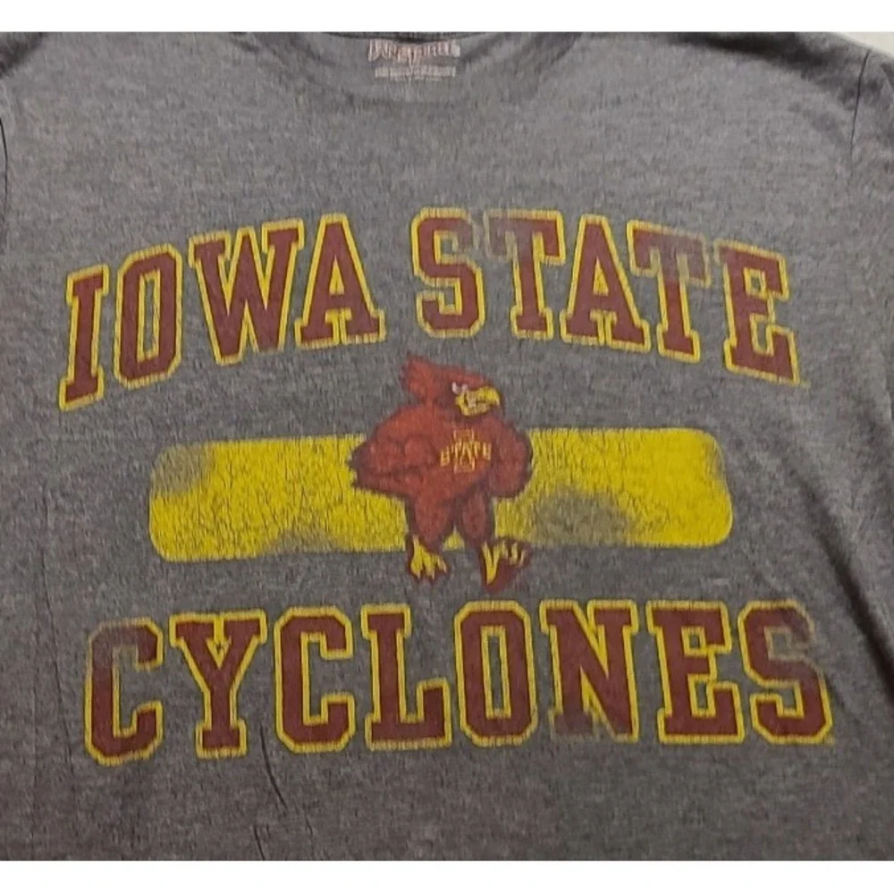 Jansport Iowa State Cyclones Men's Medium Gray Graphic T-Shirt NCAA Cy Cardinal